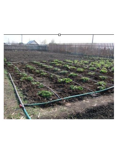 Gotero Regulable de Gran Caudal 0 a 100 litros/Hora